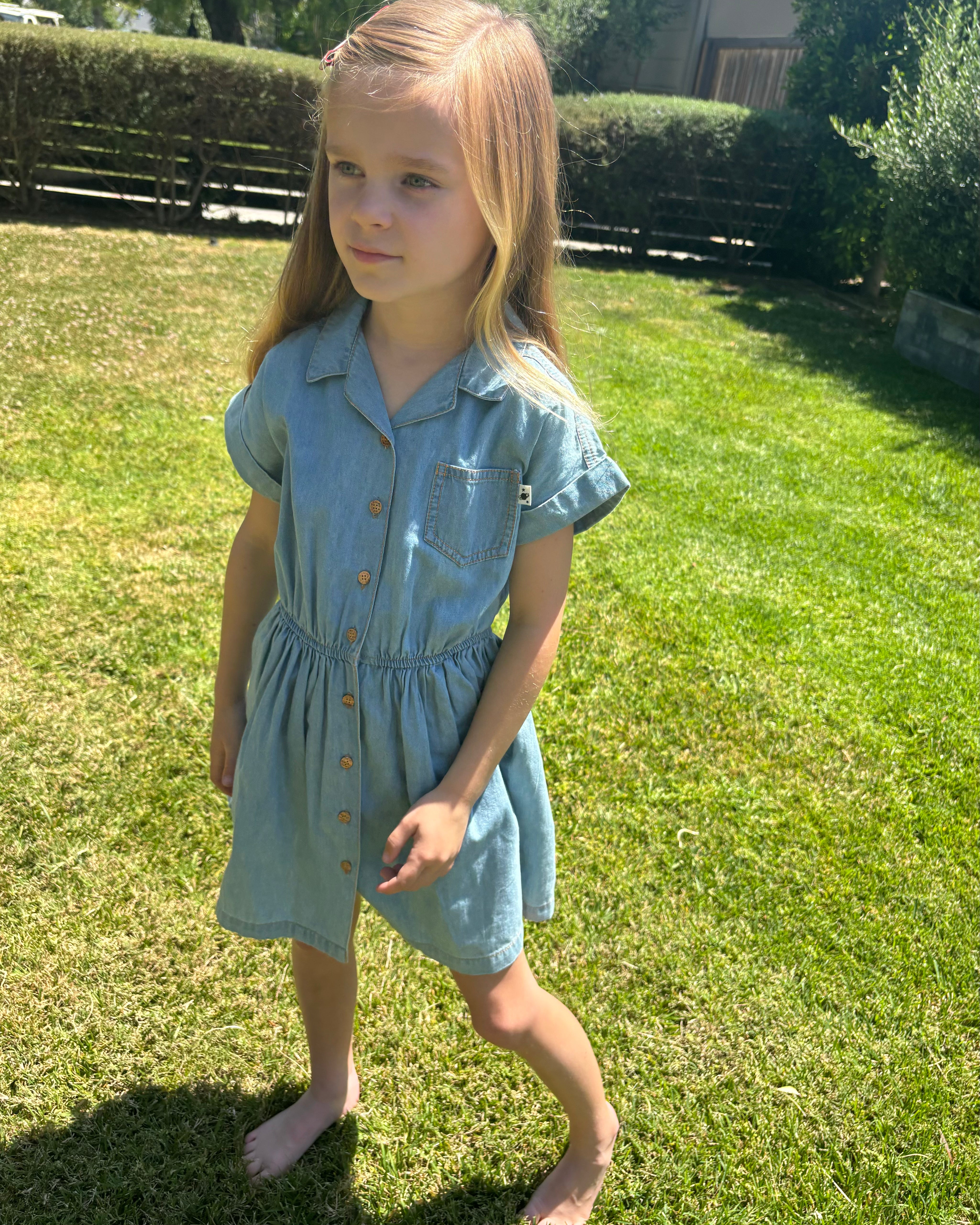 My Little Cozmo - NWT Chambray Dress 4-5Y